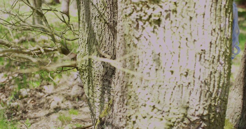 Peaches and Bananas: Alexis Crystal - Erotic forest fairy