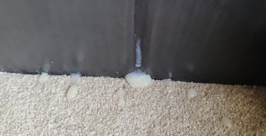 Amadeus: Je čas na krmení, kdo má hlad!!