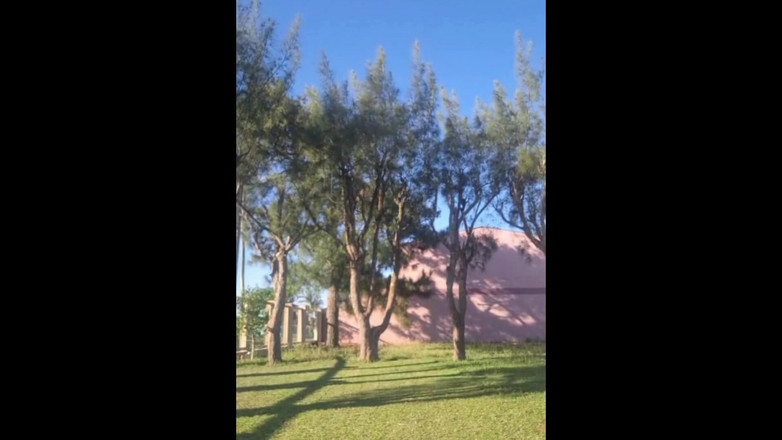 Priscila: Macocha w bikini w ogrodzie domu robi wideo dla pasierba,...