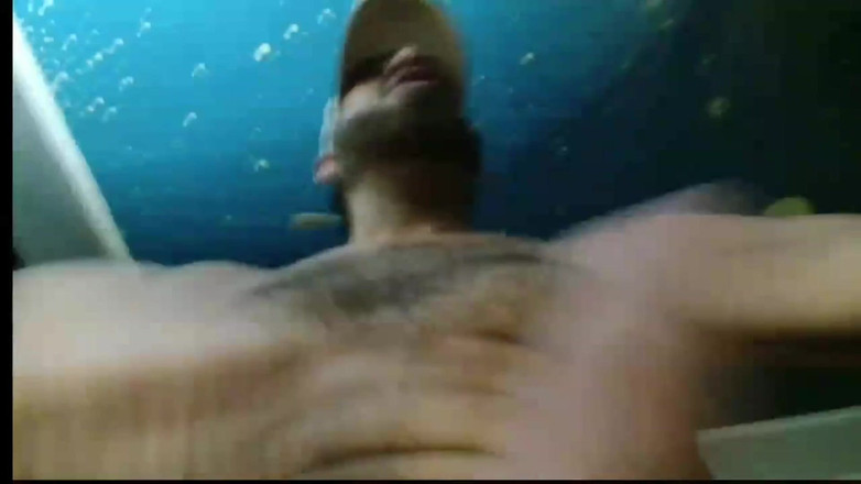 BBIG: ライブカム、キャッシュピッグたちがローラのチーズを食べたがる