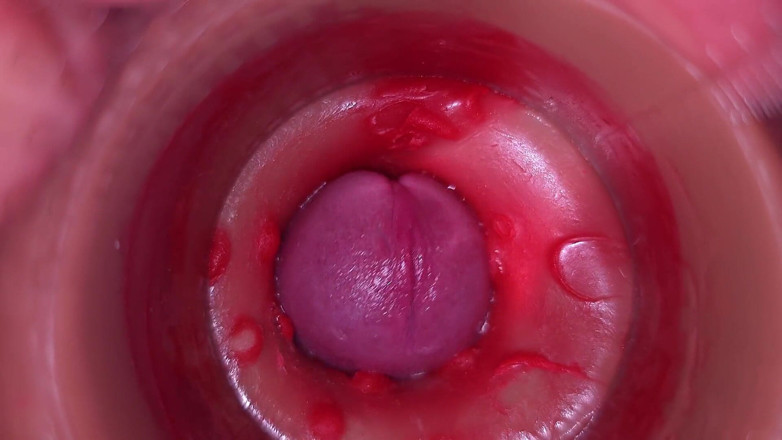 Ladybottox: Camera in Vagina, Cervix POV, Creampie