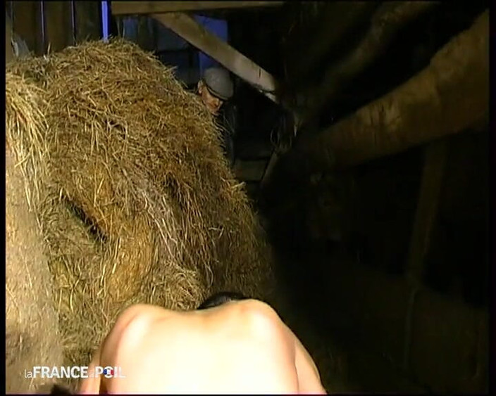 French Family Secrets: 멋진 시크 미스 굿 종류를 위한 소박한 피크닉