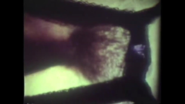 Vintage Megastore Full hd: Scopate Disgustosamente Selvagge