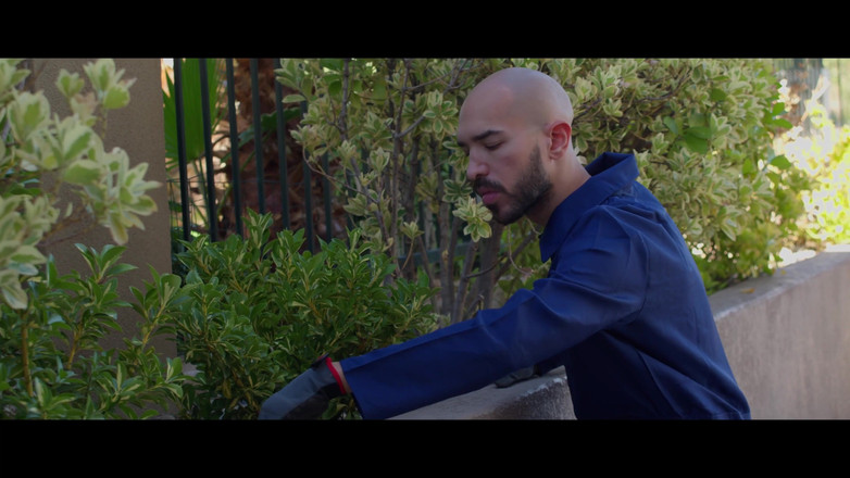 Dirty Cinema: Entzaubert - teil eins