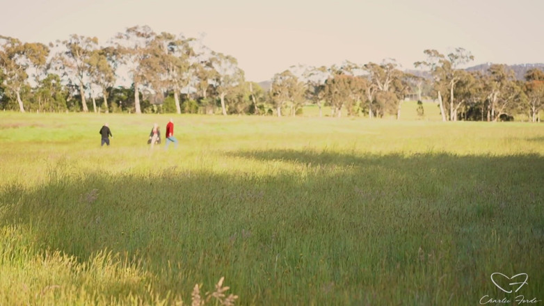 CharlieForde: Homeward Bound Part 3: Stray Featuring Charlie Forde, Finley Kay, Caleb...