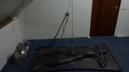 NL Milking: Mungitura vaccata