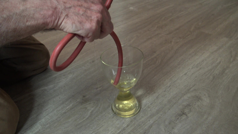 Femdom Austria: Rinse your nose with the home helper's piss!