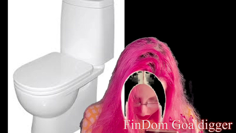 FinDom Goaldigger: Gold toilet transformation