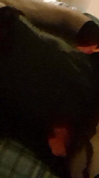 Sweet Cum
