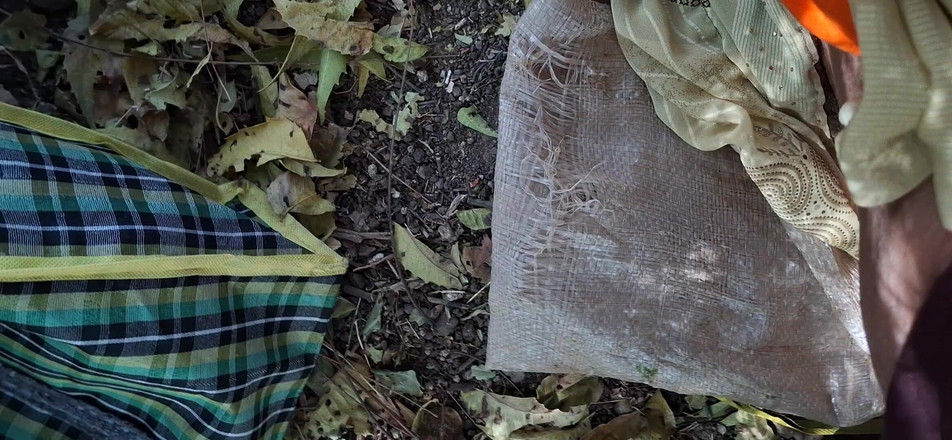 Kishori Prakashbhai: 哥在丛林中性交