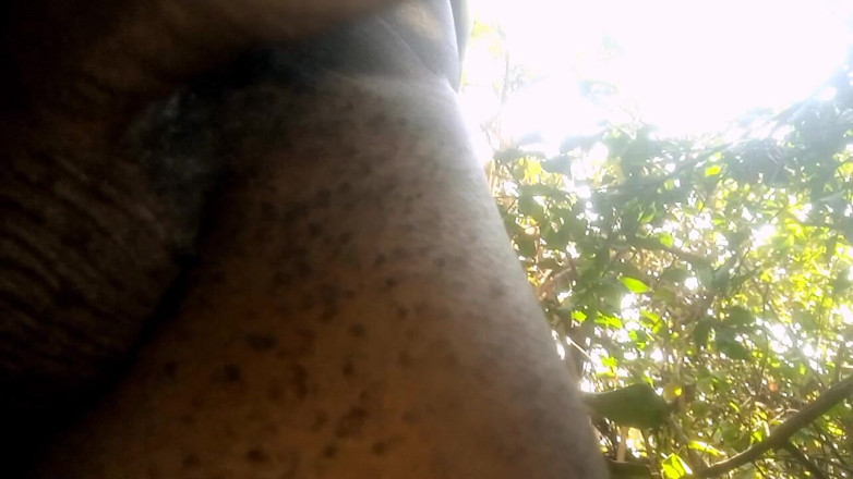 Judith xxx: Travel bush