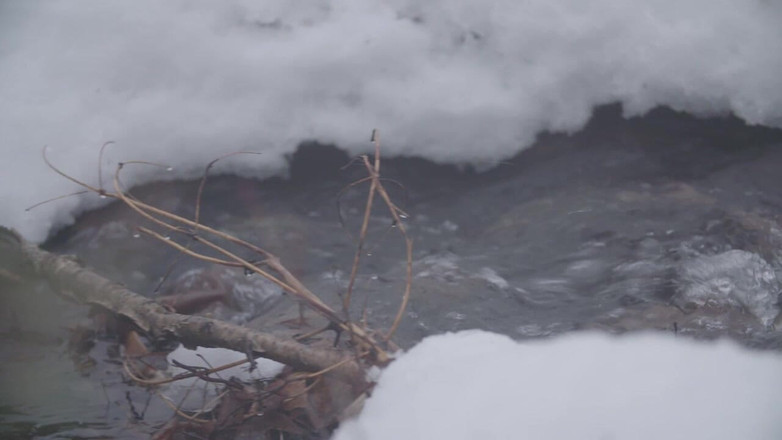 Himeros.tv: Bugil di alam terbuka