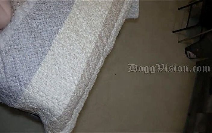 DoggVision: POV fat hairy pussy to mouth facial