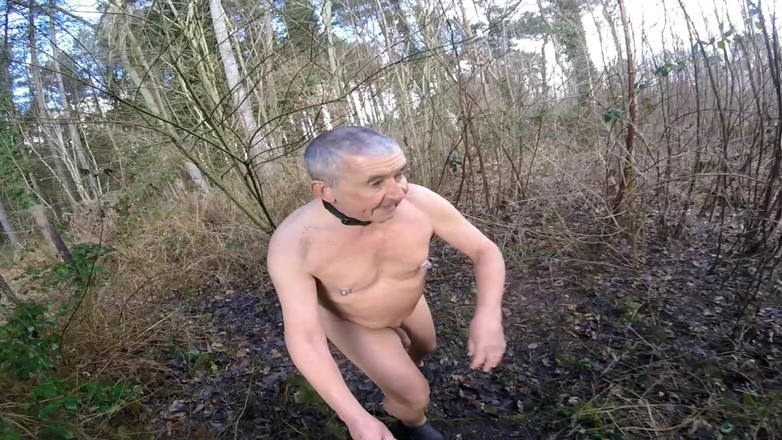 Andy: Прогулянка 10, частина 2 2025