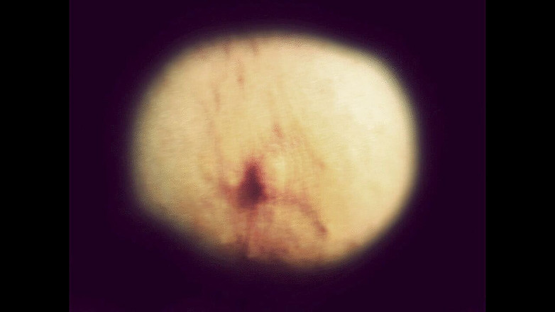 Campsissyboi: 여신 Lana CEI의 화면 노예 보이 핥기