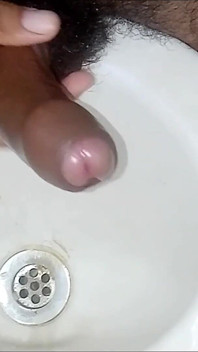 Thick Fat Bull Cock (lltstr52)