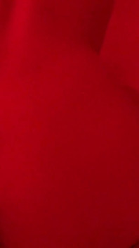 They Put Her in the Doggy Style Position and Fucked Her in the Red Room.