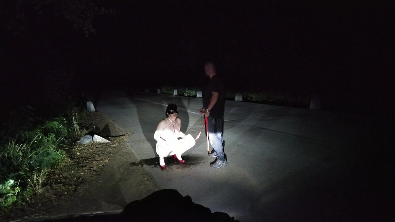 Toilet Mommy: 老豚ひねくれた放尿夏のセックス屋外