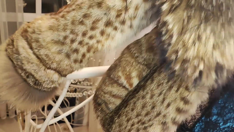 Princess18_: Bohyně v kožešinách, Otroctví na toaletě