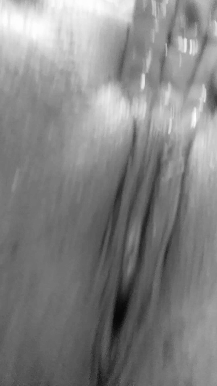 Misses Dickinson and Roughael: オイルを塗った膣マスターベーション