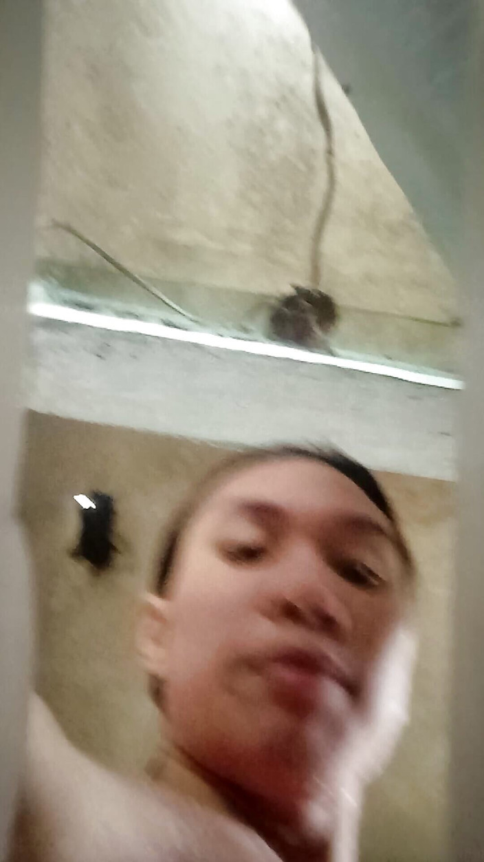 Reynaldo6: La regina del colera nelle Filippine