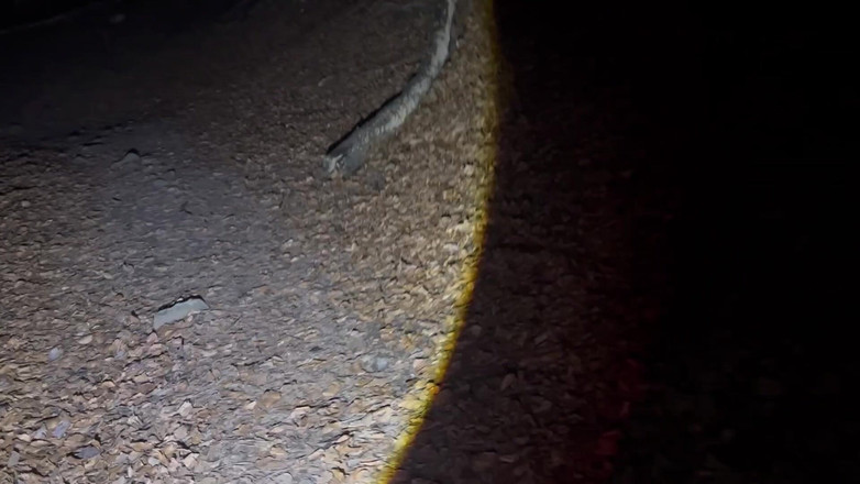 Putarankahotmilf: 夜间徒步旅行并脱掉我的大部分衣服