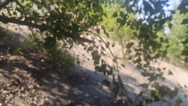 Cum Lust: Teenager masturbates wet pussy in nature and gets orgasms