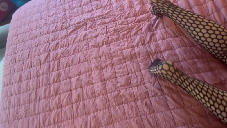 Mister Smiley: クーガーがBBCを奪う