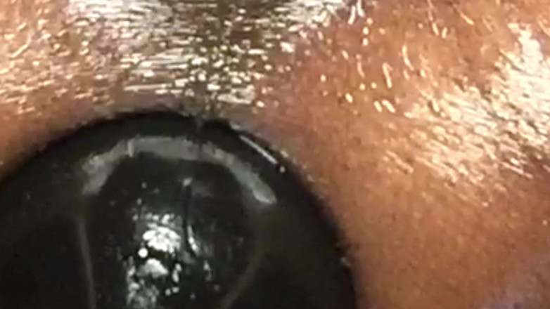 Ms300 Sarazia Exotic: Ms300 sarazia exotic - peregangan memek dan crot di dalam memekku...