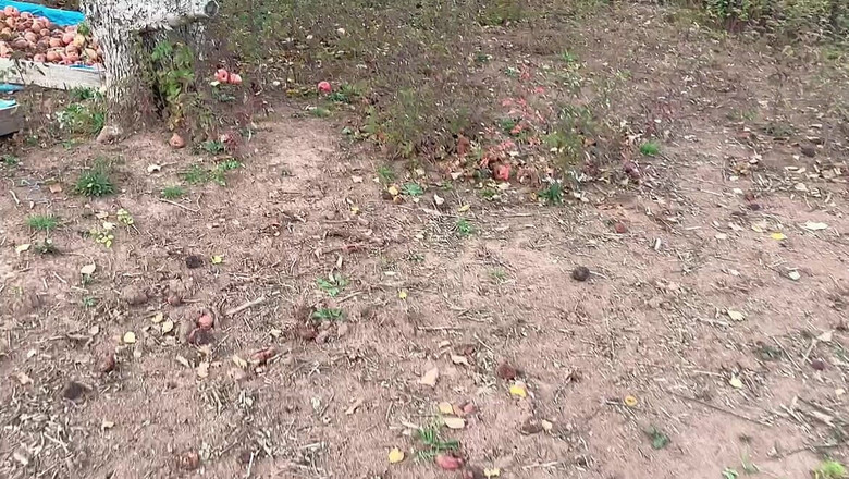 sweethanajapanese: Air Parit di Taman Epal