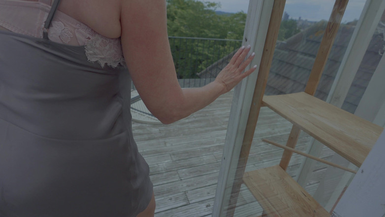 Fun Picture: 돼지 돼지 돼지