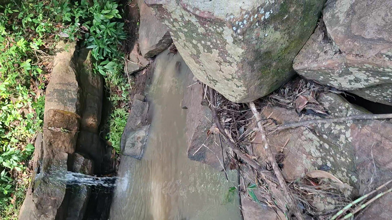 BMCs: У раю Пурро контактує з бажаною вологою природою