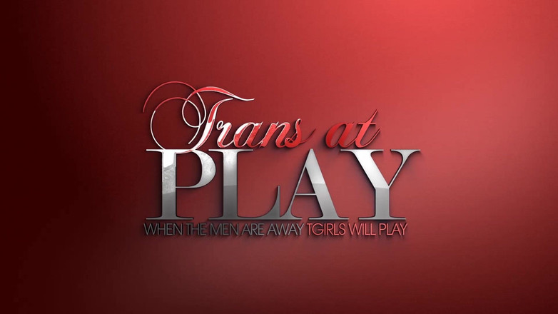 Trans 500: Doamna Lux face o afacere