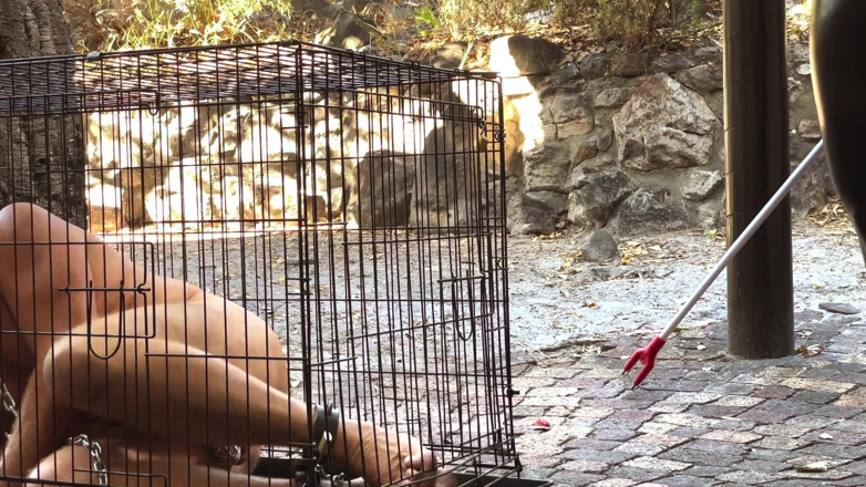 Mistress April: Caged - The chronicles of a life at her feet