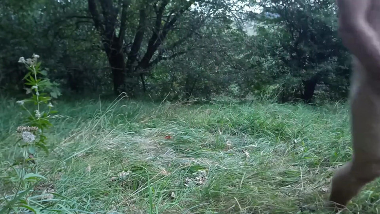 kickerscooter: Ejaculação compilação