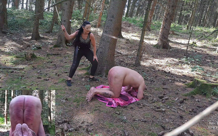 Lady Luciana Di Domizio: Cane Strokes in the Forest 1