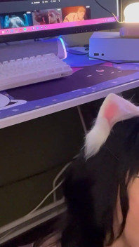 Gadis gamer lagi asik nyepong kontol di bawah meja