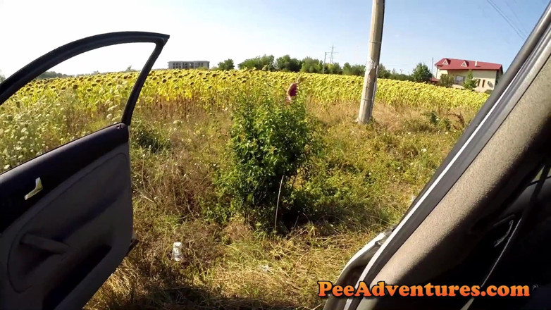 Pee Adventures: Pee on the windshield (view from inside the car)