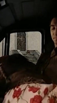 A Blowjob to the Trucker