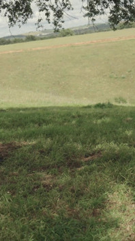 Met up with My Ex, Ended up Giving Head Through the Hills