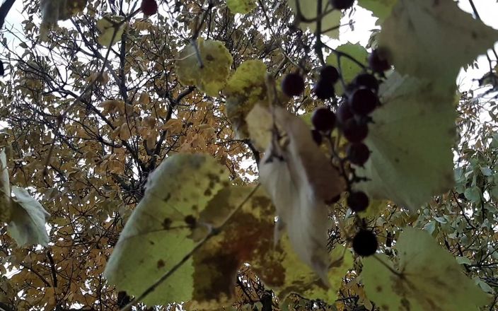 Lesbian-illusion: Onze romantische seks in de herfst in een hut - lesbische...