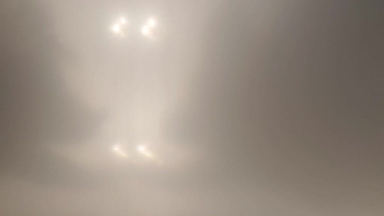 Skin&earth: 下からのぽっちゃりクマの視点。顔にうめき声と射精