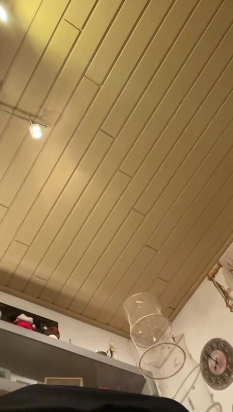 EvilSadness83: Doggy lek med penispump