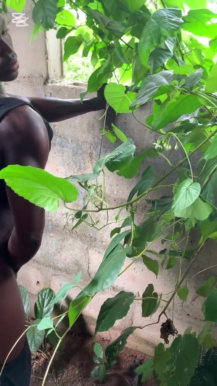 Sassypussyy:  Videos de desafeitado 