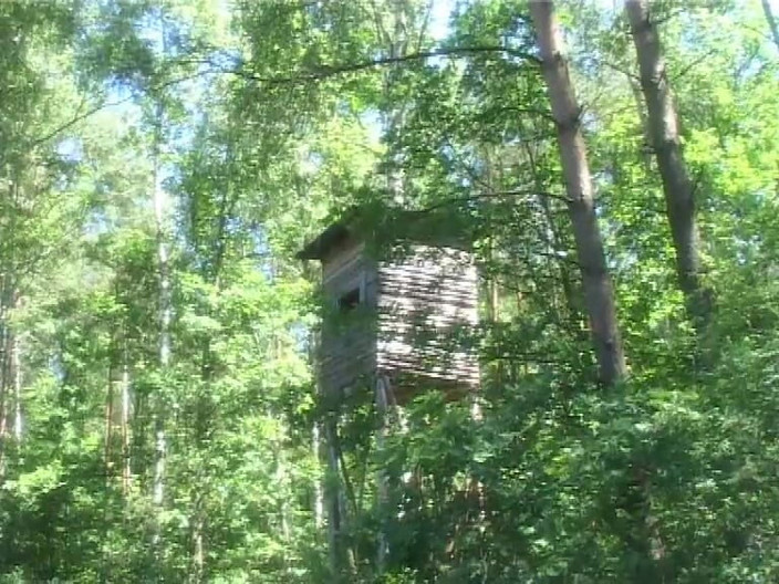 Wonderful Hot World X: Intenzivní skupinový sex venku pro ošklivé zamilované dívky