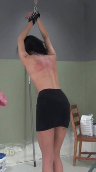 O chicote traseiro da Donna