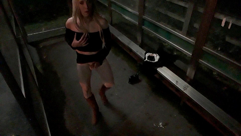 The Midnight Minx: 버스 쉼터 스트립