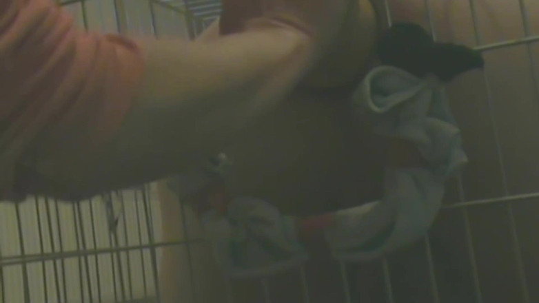 No limit cbt slave: Schiavo in Gabbia Viene Usato per Il Sesso Anale