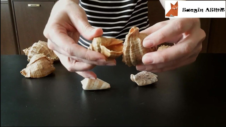 Saegin: 1[asmr] birbirine sürtüyor ve deniz kabuklarını çiziyor (konuşma yok)
