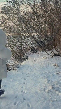 Rápida foda ao ar livre na neve em um casaco de pele branco-neve